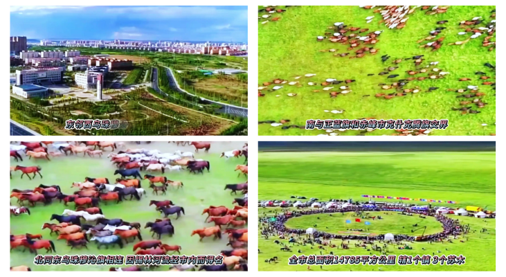 錫林浩特發(fā)赤峰物流電話號碼-第1張圖片