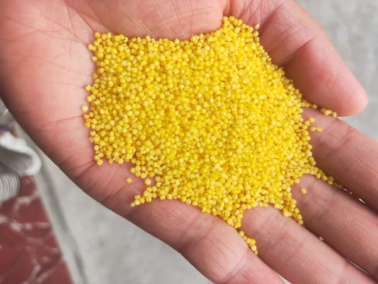 赤峰凍黃染料廠家電話號碼-第1張圖片