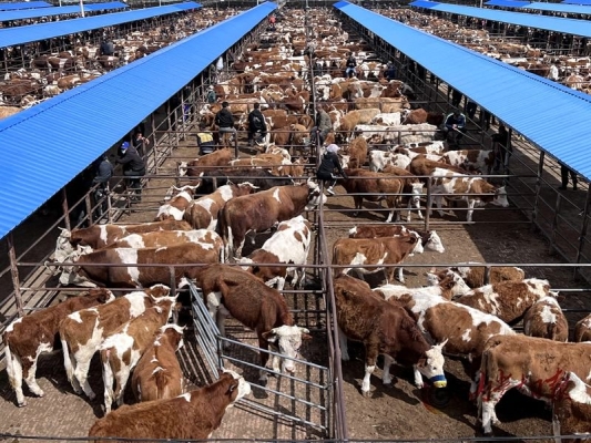 赤峰牧場(chǎng)售后服務(wù)電話是多少號(hào)-第1張圖片