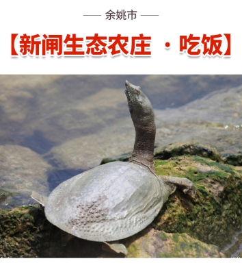 赤峰農(nóng)家飯館電話號(hào)碼查詢是多少-第1張圖片