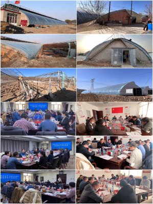 赤峰蔬菜苗批發(fā)市場電話號碼-第1張圖片