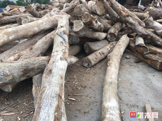 赤峰森源木材廠電話多少號(hào)-第1張圖片