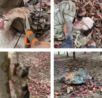 赤峰小猴子辣條電話號碼查詢-第1張圖片