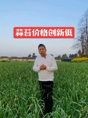 赤峰蒜苔基地電話多少號(hào)-第1張圖片