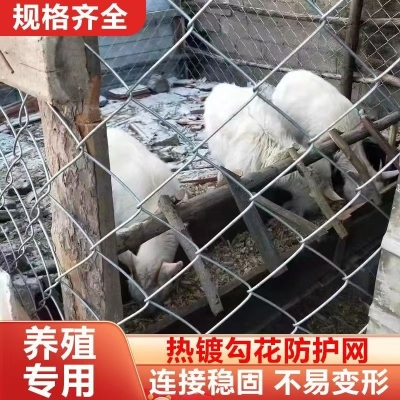 赤峰護(hù)欄網(wǎng)安裝電話多少號-第1張圖片