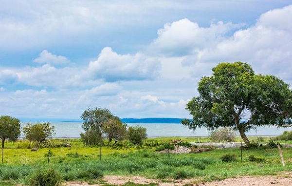 赤峰中京冰泉送水電話號碼-第1張圖片