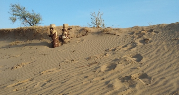 赤峰市敖漢旗東北溝村電話號碼-第1張圖片