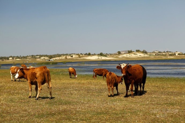 赤峰歐黎洗滌廠電話號碼查詢-第1張圖片