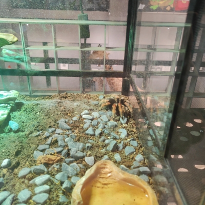 赤峰卡丁車(chē)海達(dá)店電話(huà)號(hào)碼查詢(xún)-第1張圖片