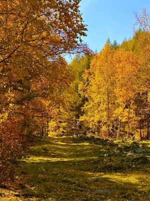 赤峰美琪工作室地址電話號碼-第1張圖片