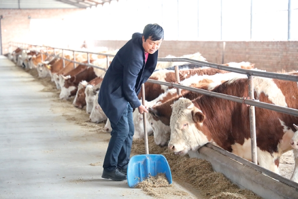 赤峰養(yǎng)牛場(chǎng)電話多少號(hào)碼-第1張圖片