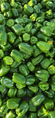 赤峰日升超市地址電話號(hào)碼查詢-第1張圖片