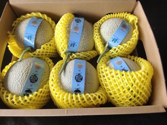 赤峰6號(hào)紙箱廠地址電話號(hào)碼-第1張圖片