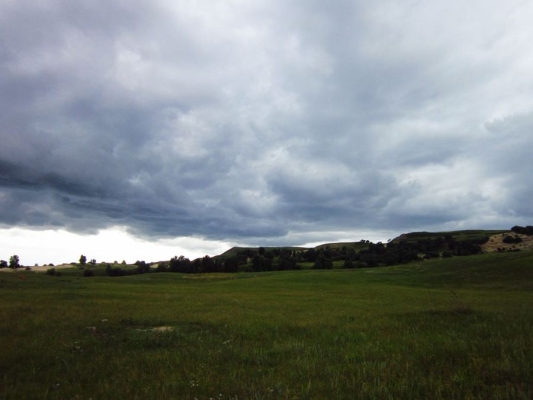 赤峰市元寶山鎮(zhèn)德邦物流-第1張圖片