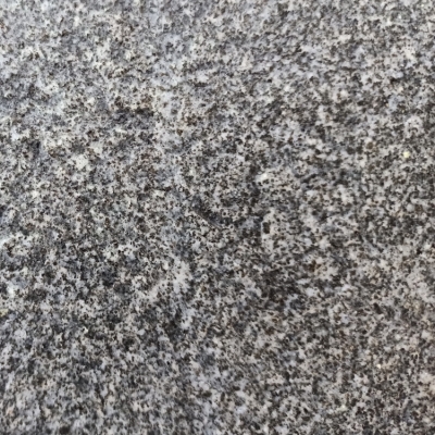 赤峰芝麻黑批發(fā)電話號(hào)碼查詢-第1張圖片