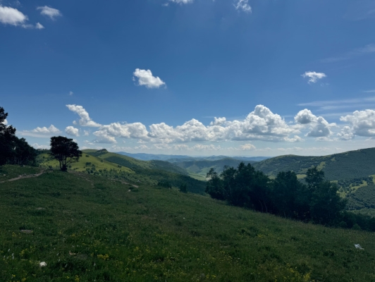 赤峰馨逸養(yǎng)生會(huì)所電話號(hào)碼查詢-第1張圖片