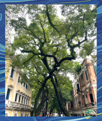 赤峰弘祥面食店電話多少號-第1張圖片