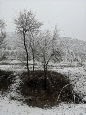 赤峰空氣錘加工廠電話號(hào)碼-第1張圖片