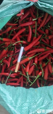 赤峰市小米椒批發(fā)電話號碼-第1張圖片