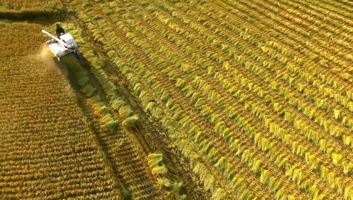 赤峰賣麥克風(fēng)的電話地址是多少-第1張圖片