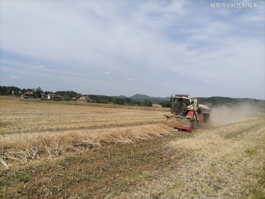 赤峰收購油菜桿廠家電話號碼-第1張圖片