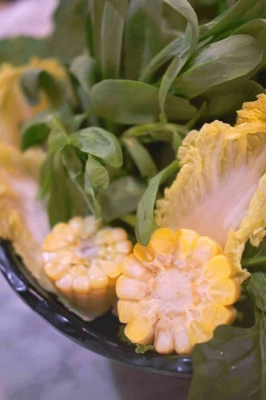 赤峰平莊丸子館電話號(hào)碼多少-第1張圖片