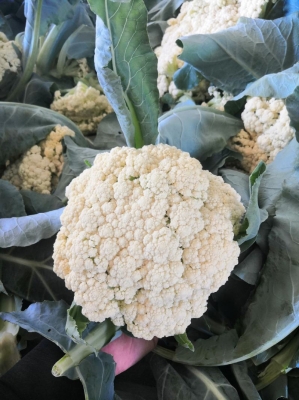 赤峰樂兜超市電話號碼多少-第1張圖片