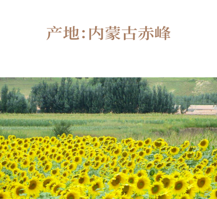 赤峰賣葵花油的電話號(hào)碼是多少-第1張圖片