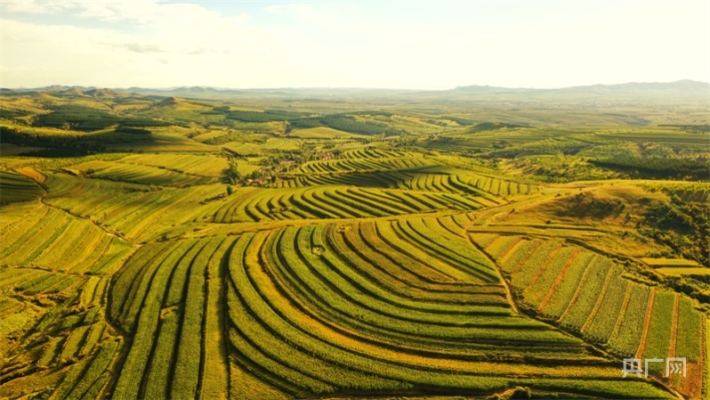 赤峰敖漢羊養(yǎng)殖戶(hù)電話(huà)號(hào)碼-第1張圖片