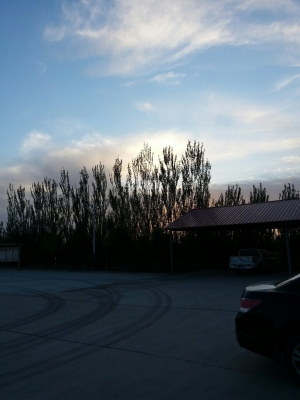 赤峰到四道灣班車電話號碼是多少-第1張圖片