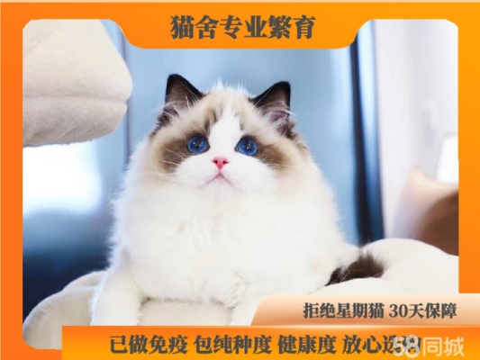 赤峰寵物店團(tuán)購(gòu)群電話號(hào)碼-第1張圖片