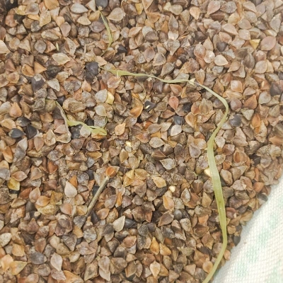 赤峰苦蕎合作社電話地址查詢-第1張圖片