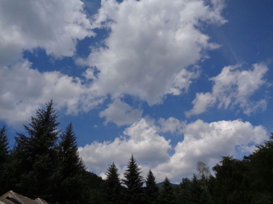 赤峰寧城炕板廠電話號(hào)碼查詢-第1張圖片