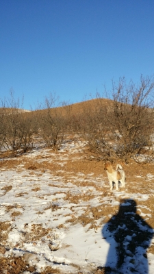 赤峰衣家營(yíng)商貿(mào)城電話號(hào)碼-第1張圖片