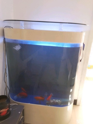 赤峰垃圾寵物店電話號碼多少-第1張圖片