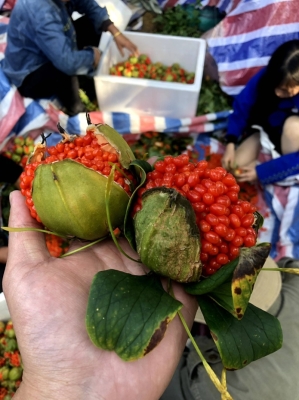 赤峰零食臨期批發(fā)電話號碼-第1張圖片