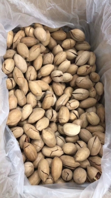 赤峰碧根果廠家聯系電話號碼-第1張圖片