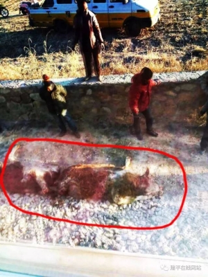 赤峰到葉柏壽拼車電話號(hào)碼-第1張圖片