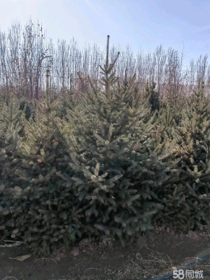 赤峰紅廟子衛(wèi)生院的電話號碼-第1張圖片