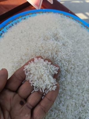 赤峰大米批發(fā)市場-第1張圖片