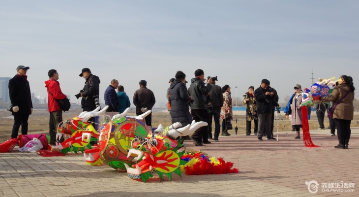 赤峰二龍鋼廠電話號碼查詢-第1張圖片