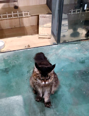 赤峰嗨堡樂園電話號碼多少號-第1張圖片