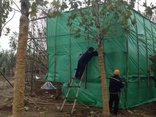 赤峰保溫羊棚電話號碼查詢-第1張圖片