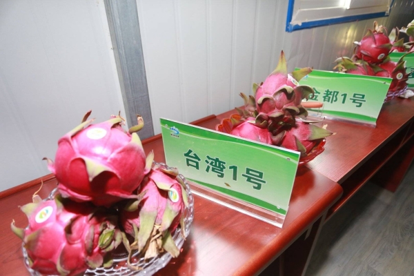 赤峰綠禾小米專賣店電話號(hào)碼-第1張圖片