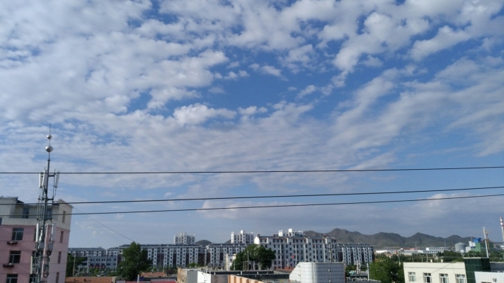 赤峰欣夢寵物店電話地址查詢-第1張圖片