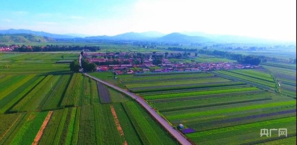 赤峰哈拉道口合作社電話號碼-第1張圖片