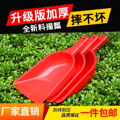 赤峰金鏟鏟寵物店電話號碼-第1張圖片