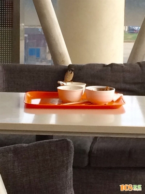 赤峰洗碗公司電話多少號碼-第1張圖片