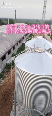 赤峰散養(yǎng)豬豬場地址電話號碼-第1張圖片