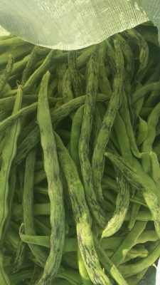 赤峰牛頭肉批發(fā)電話號(hào)碼查詢-第1張圖片